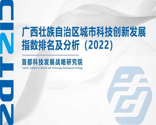 看农村妇女操逼【成果发布】广西壮族自治区城市科技创新发展指数排名及分析（2022）